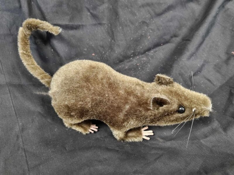 Dekoratsioonide rent. Dekoratsioonide laenutus. Dekoreerimine.